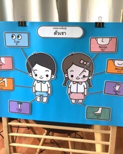 ป้ายนิเทศหน่วยตัวเรา